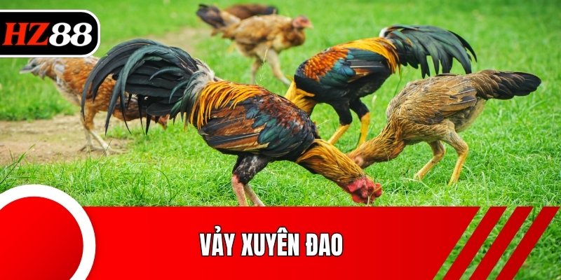 Vảy Xuyên Đao